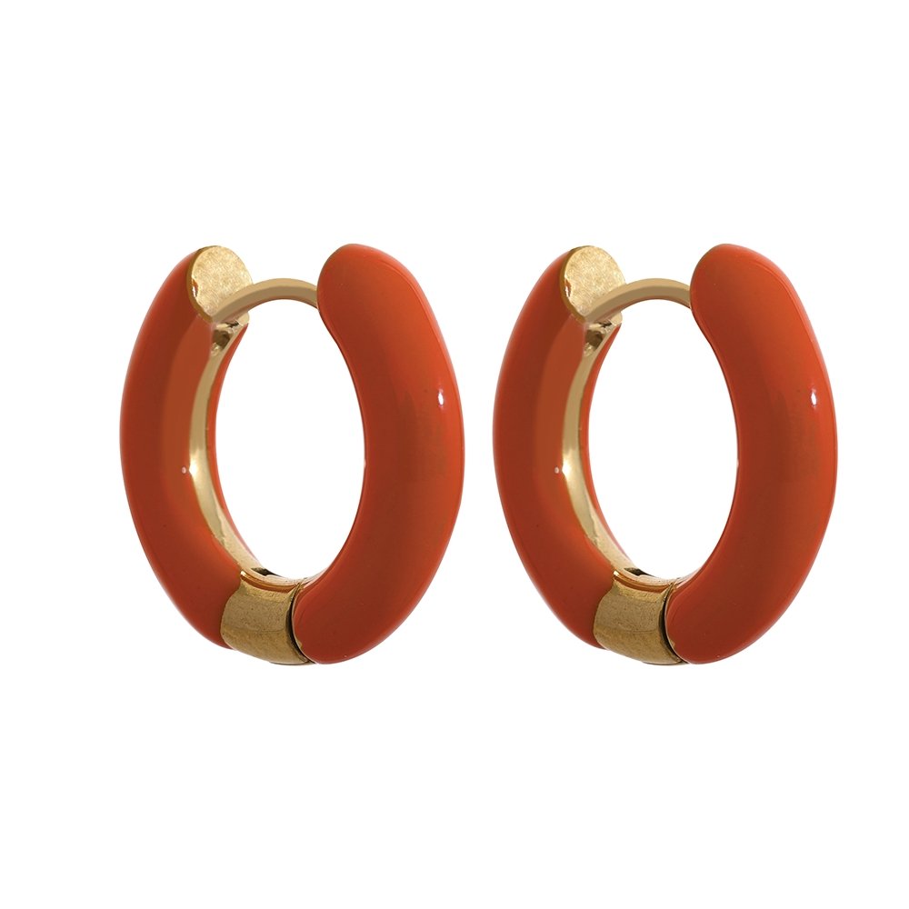 Color Pop Hoop Earrings - Stella Sage